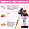 Collagen for Dogs, Dog Collagen Drops 60 ml, Collagen Boost,