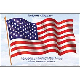 Pledge of Allegiance Educational History Teacher Classroom Chart Print Poster 24x36