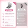uCoolMe Venus Lash Clusters Kit 8-16mm with 5-6mm Bottom Lashes