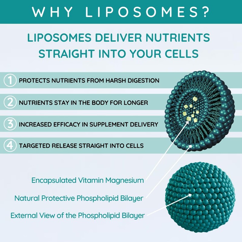 WELL ACTUALLY Liposomal Magnesium Glycinate Liquid - 2000mg Magnesium Bisglycinate