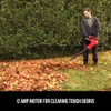 CRAFTSMAN 3-in-1 Leaf Blower, Vacuum and Mulcher, Backpack Blower Up