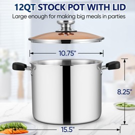 TeamFar Stock Pot with Lid, 12QT Stainless Steel Tri-ply Cooking Pot Stockpot with Glass Lid & Heatproof Handles, for Induction Gas Ceramic Cooktop, Nontoxic & Heavy Duty, Large Size & Dishwasher Safe