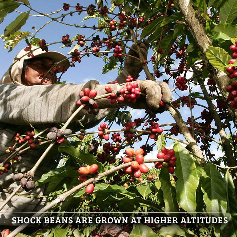 Shock Coffee Extra Strength Single Serve Cups. Up to 75%