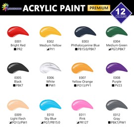 ESSENSON Acrylic Paint Set for Art, 12 Colours 2oz/59ml Bottles, Acrylic Paints Supplies for Artists, Beginners Adults on Canvas Rocks Wood Ceramic Fabric