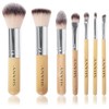 SHANY - Juego de brochas de maquillaje de calidad profesional,