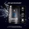B Life Creatina Monohidratada en polvo 600g |120 Servicios |