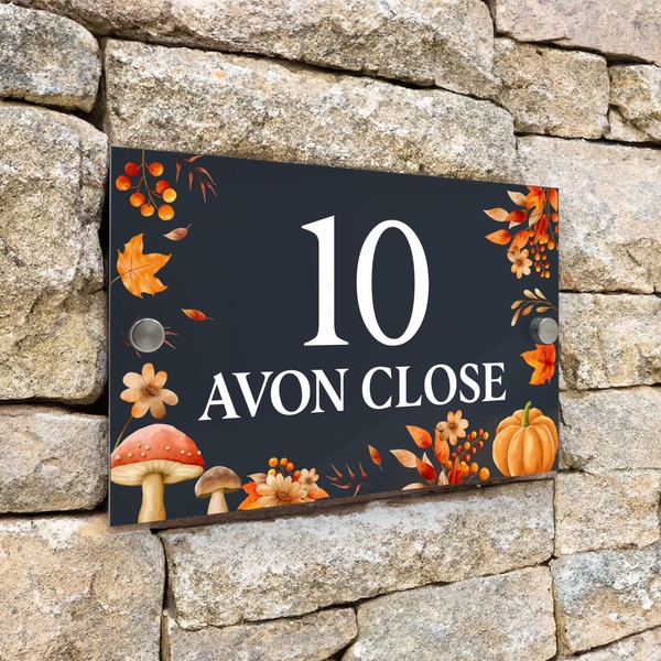 Badgemaster Modern Anthracite House Number Sign Plaque Stainless Steel Standoffs