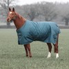 Shires Typhoon 200 Mediumweight Waterproof Turnout Rug - Green