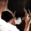 Bone Collector The Change Up Antler Mounting Kit with Skull