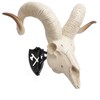 Skull Hanger European Mount Adjustable Bone Bracket Trophy Mounts for