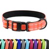 CollarDirect Reflective Dog Collar for Small Medium Large Dog Puppy