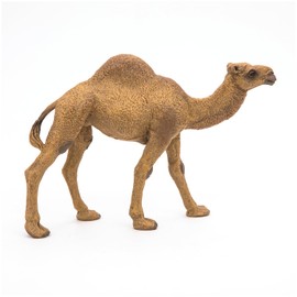 Papo -Hand-Painted - Figurine -Wild Animal Kingdom - Dromedary -50151 -Collectible - for Children - Suitable for Boys and Girls- from 3 Years Old