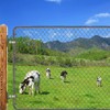 304 Stainless Steel Gate Hinges, Heavy Duty 2 Pack Wall