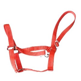 Extra Strong Equine NEW Horse Cob Pony headcollars halter Nylon - ORANGE (Full)