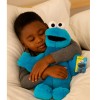 Handmade Cookie Monster Plush 15-Inch Sesame Street Stuffed New