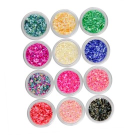 OHPHCALL 12pcs Nail Art Powder Set Colors Shell Powder Kit DIY Manicure Brush Fashion Nail Glitter