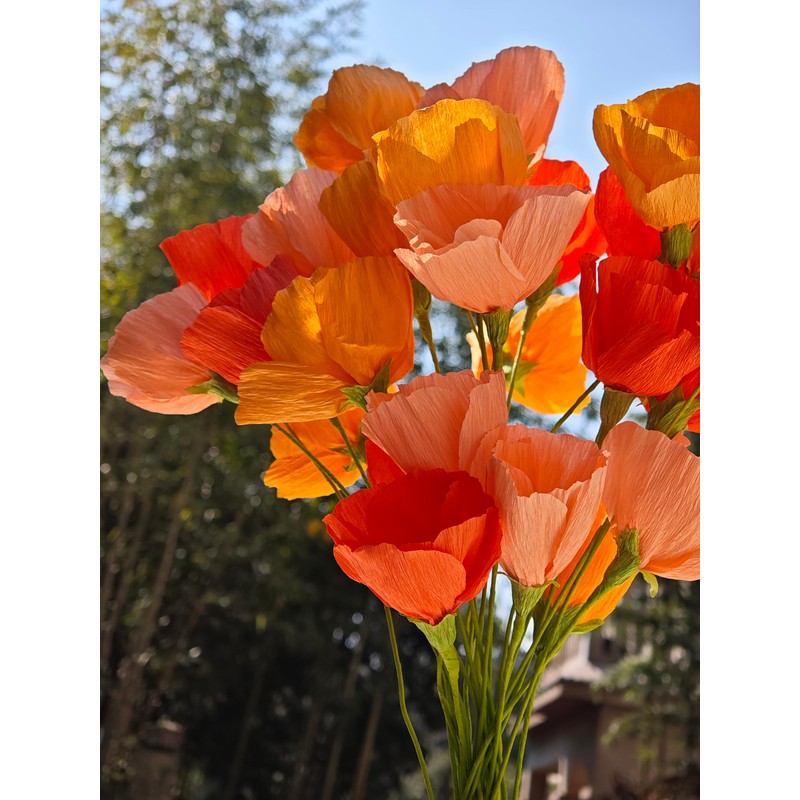 Orange Crepe Paper Poppy Flower DIY Making Kit Home Decoration