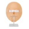 TRISAR Silicone Full Face Mannequin, Removable Eyes Reusable Makeup Mannequin