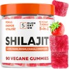 Original Shilajit Gummies - 2200 mg - 90 Strawberry Gummies