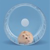 BUCATSTATE Hamster Spinning Wheel 15 Jelly Wheel, Quiet, Stable, Easy