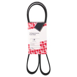 febi bilstein 38442 Auxiliary Belt, pack of one, Black