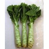 KIRA SEEDS - Seeds Asparagus Lettuce Celtuce - 65 Days