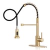 DJS Kitchen Faucets with Pull Down Sprayer Brushed Gold -Single
