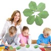 Creative Leaf Sticky Notes, 500 Sheets, 10 Pack, Green Memo