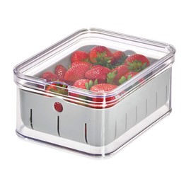 "iDesign Crisp BPA-Free Plastic Produce Storage Bin - 8.32"" x 6.32"" x 3.76"", Clear/Gray", berry bin