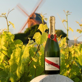 G.H. Mumm Champagne Cordon Rouge, vol 12%, 75CL, Pinot Noir, Chardonnay e Meunier, Invecchiato 20 Mesi nelle Cantine di Reims