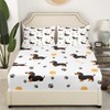 Castle Fairy Cute Dachshund Dog Fitted Sheet King Size,Ball Bones