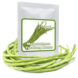 Asparagus Bean / Metre Beans - 20 Seeds - Up to 1 m Long Giant Beans - Snake Bean