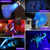 DARKBEAM 365nm UV Flashlight Black Light with Filter, Powerful Blacklight