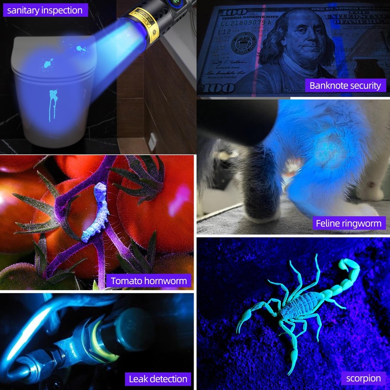 DARKBEAM 365nm UV Flashlight Black Light with Filter, Powerful Blacklight