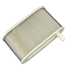 Ager Air Filter for V-MAX 1200