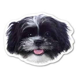 Magnet America (Black and White) Shih Tzu Dog Magnet is 4.375" x 5.75" Made for Vehicles and Refrigerators