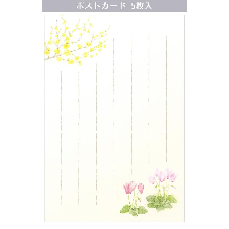 5812870 Postcard Winter Pattern Winter Collection Blooms in Winter Sun