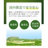 Hot Farm Yame Matcha Green Tea Yame Green Tea, 1.1