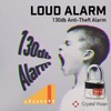Crystal Vision Anti-Theft Loud 130db Alarm Lock Weather Proof Heavy