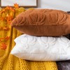 COSIBONO Pumpkin Fall Decorative Throw Pillow Covers 18"x18", Set of