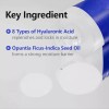 ISNTREE Hyaluronic Acid Water Essence 50ml 1.69 fl.oz