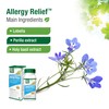 Bell Allergy Relief™ - A balanced natural formula, for comfortable