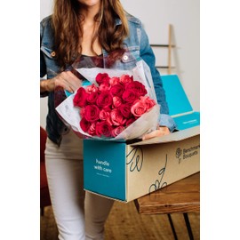 Benchmark Bouquets Blushing Beauty Roses, With Vase (Fresh Cut Flowers),24 Count (Pack of 1)