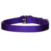 Hamilton Single Thick Nylon Buckle Dog Collar for Small &