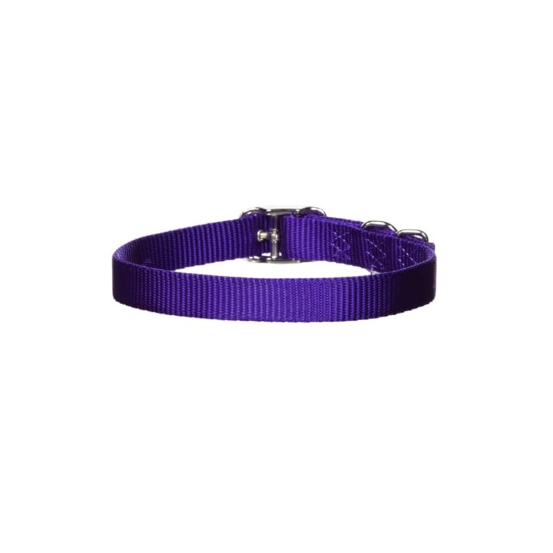 Hamilton Single Thick Nylon Buckle Dog Collar for Small &