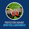 BioAdvanced Tree and Shrub Insect Killer, Ready-to-Use, 32Oz