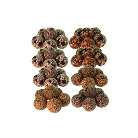 Squirrel Food Balls, 48 Pieces, with Sunflower Seeds, Peanuts, Pine Nuts, Carrots, for Wild Bird, Squirrel, Chicken and Wildlife Small Animal. All in Nature Nutritious Food for Wild Small Animal