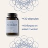 GUDGUT - GUDZEN PSICOBIOTICOS PROBIOTICOS - SALUD EMOCIONAL E INTESTINAL