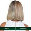 Tinte para cabello Nutrisse Oleos sin amoniaco 9.1 rubio cenizo