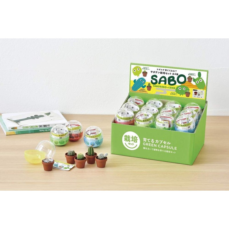 Seishin Pottery Growing Capsule, Green Capsule, 24 Piece Cosmetic Box
